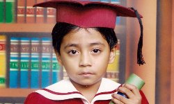 自动化部署的在线ddos网页端